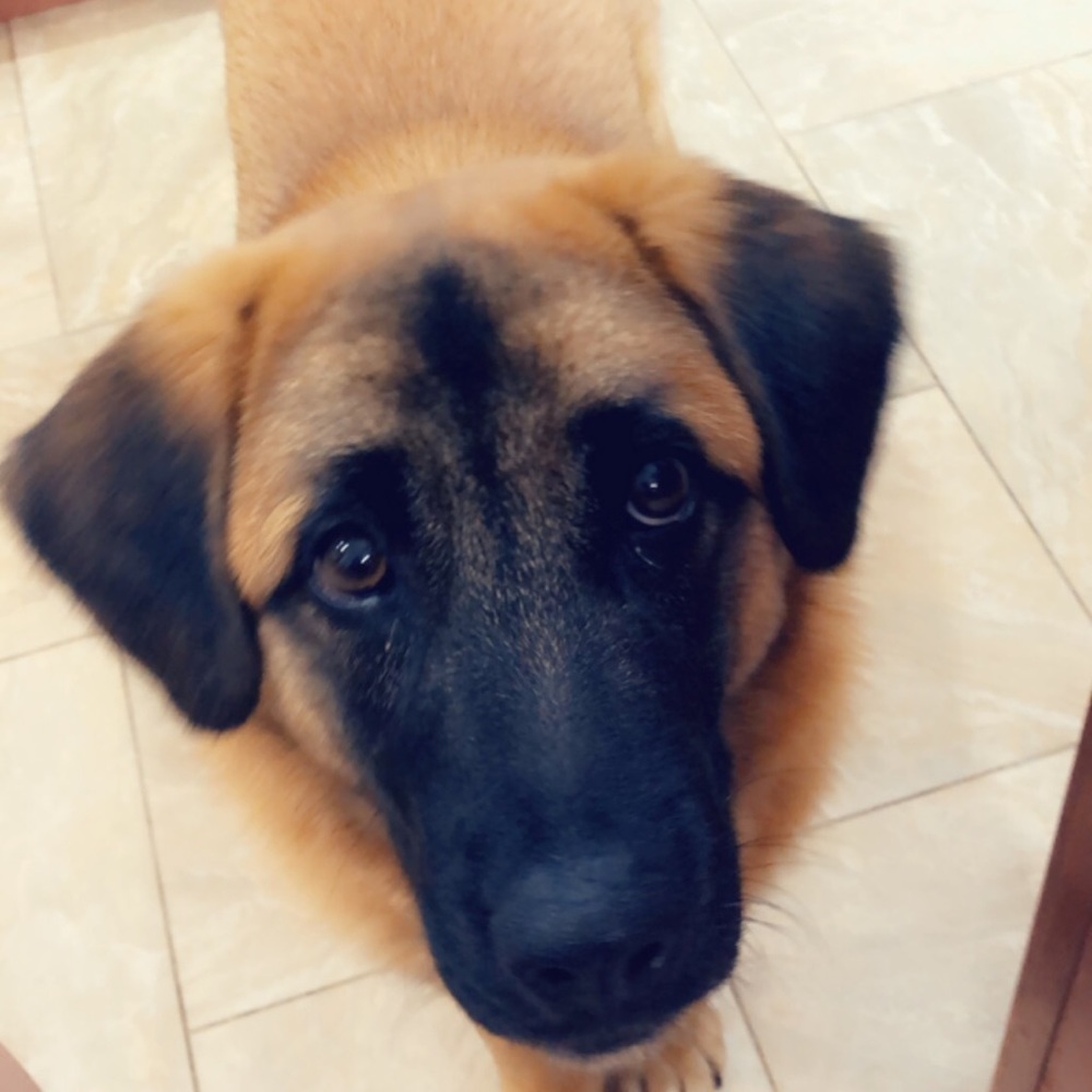 Trade for Breemartini